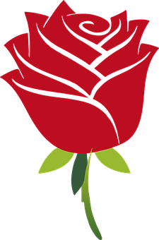 Stylized Red Rose Graphic PNG with transparent background
