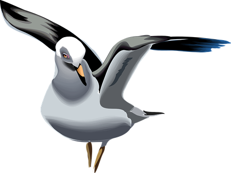 Stylized Seagull Illustration PNG with transparent background