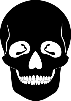 Stylized Skull Graphic PNG with transparent background