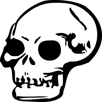 Stylized Skull Graphic PNG with transparent background