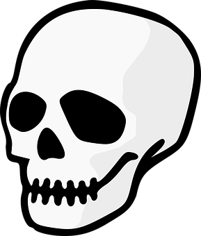 Stylized Skull Graphic PNG with transparent background