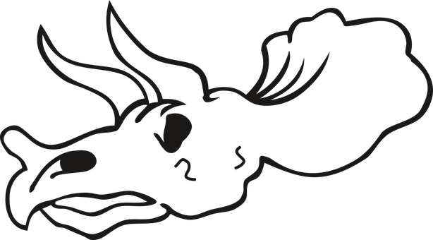 Stylized Skull Outline PNG with transparent background