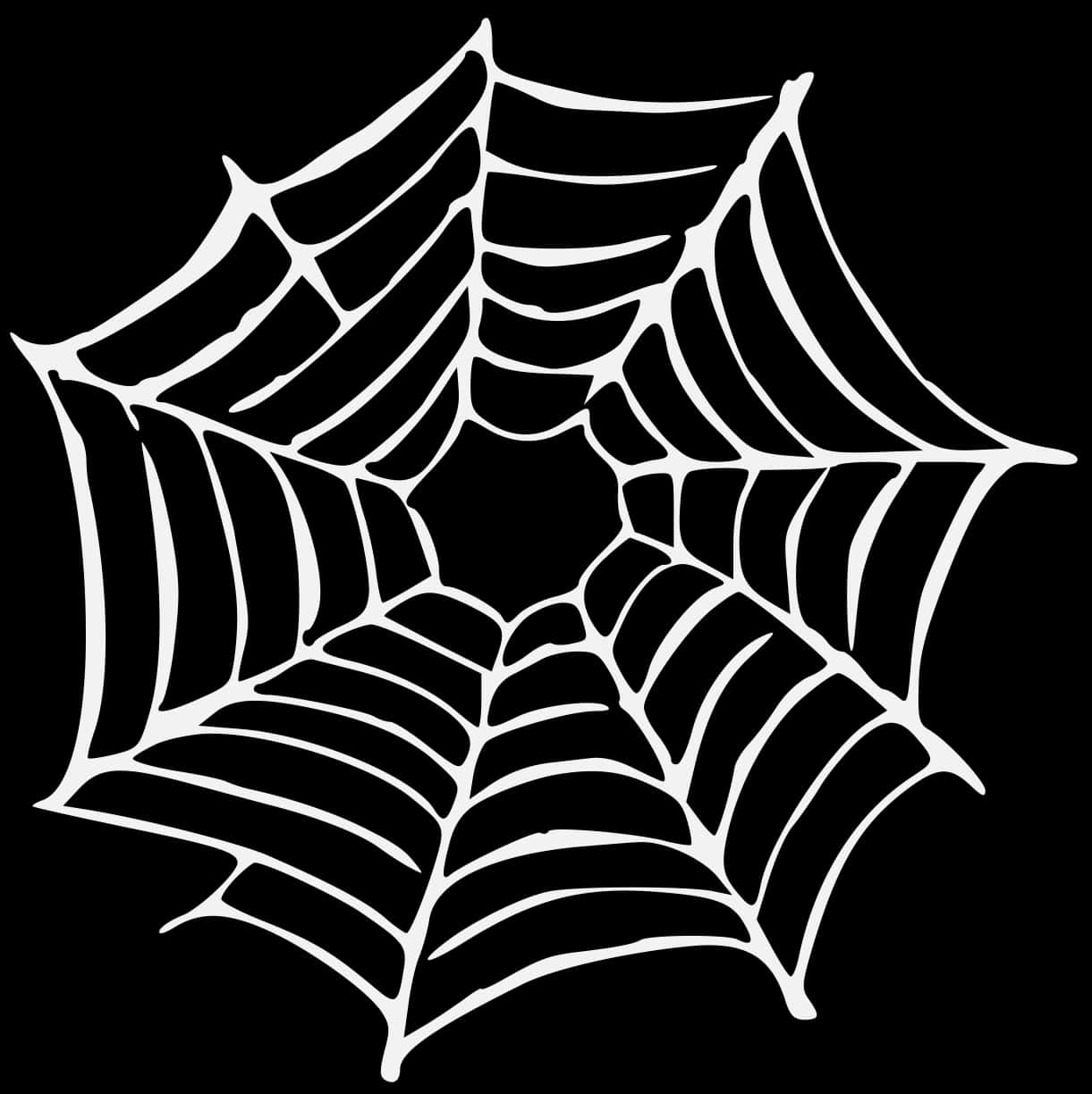 Stylized Spider Web Graphic PNG with transparent background