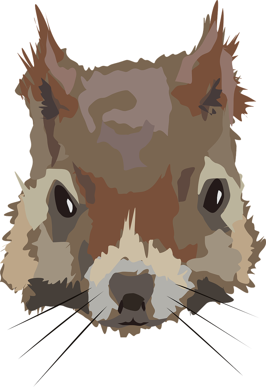 Stylized Squirrel Portrait PNG with transparent background