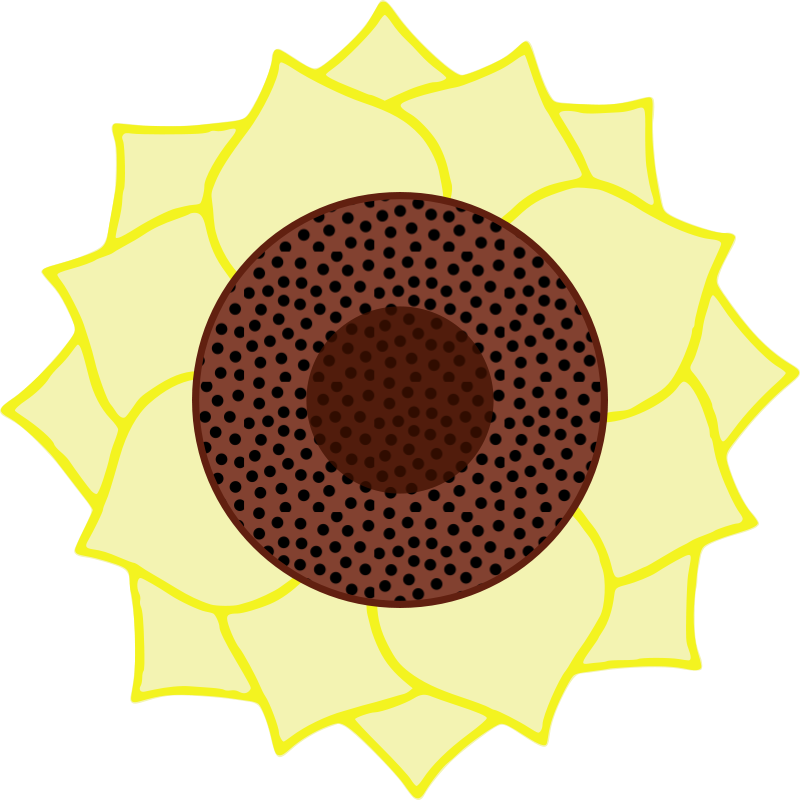 Stylized Sunflower Graphic PNG with transparent background