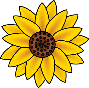 Stylized Sunflower Illustration PNG with transparent background