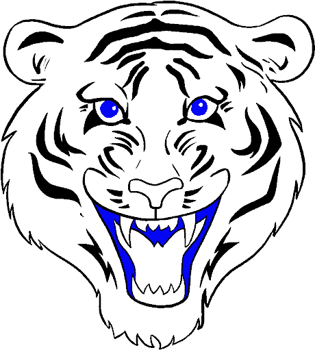 Stylized Tiger Head Graphic