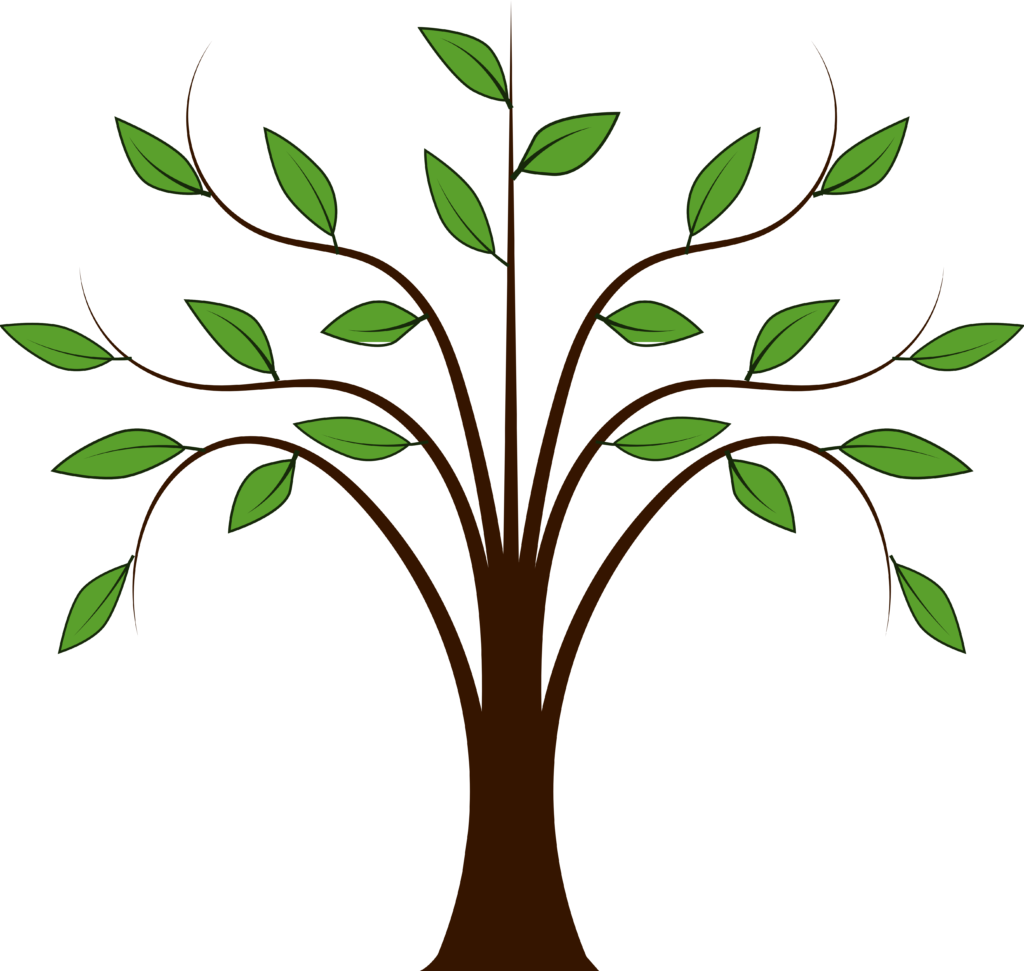 Stylized Tree Branchesand Leaves PNG with transparent background