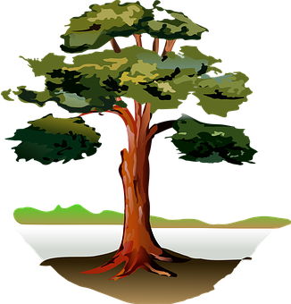 Stylized Tree Illustration