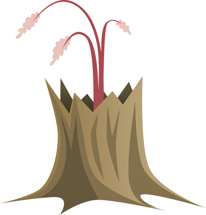 Stylized Tree Trunkwith Sprouting Flowers