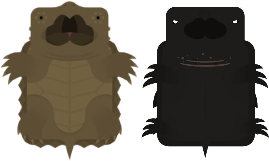 Stylized Turtle Duo PNG with transparent background