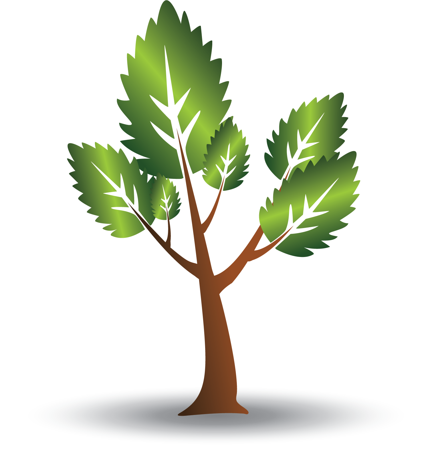 Stylized Vector Tree Illustration PNG with transparent background