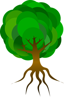 Stylized Vector Tree Illustration