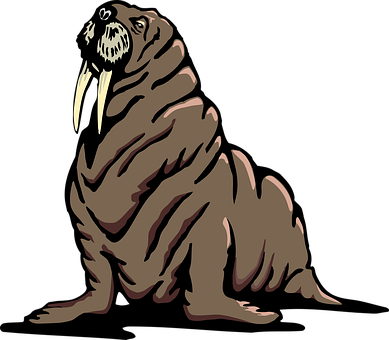 Stylized Walrus Illustration