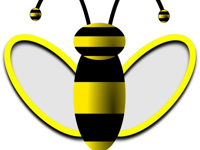 Stylized Wasp Illustration PNG with transparent background