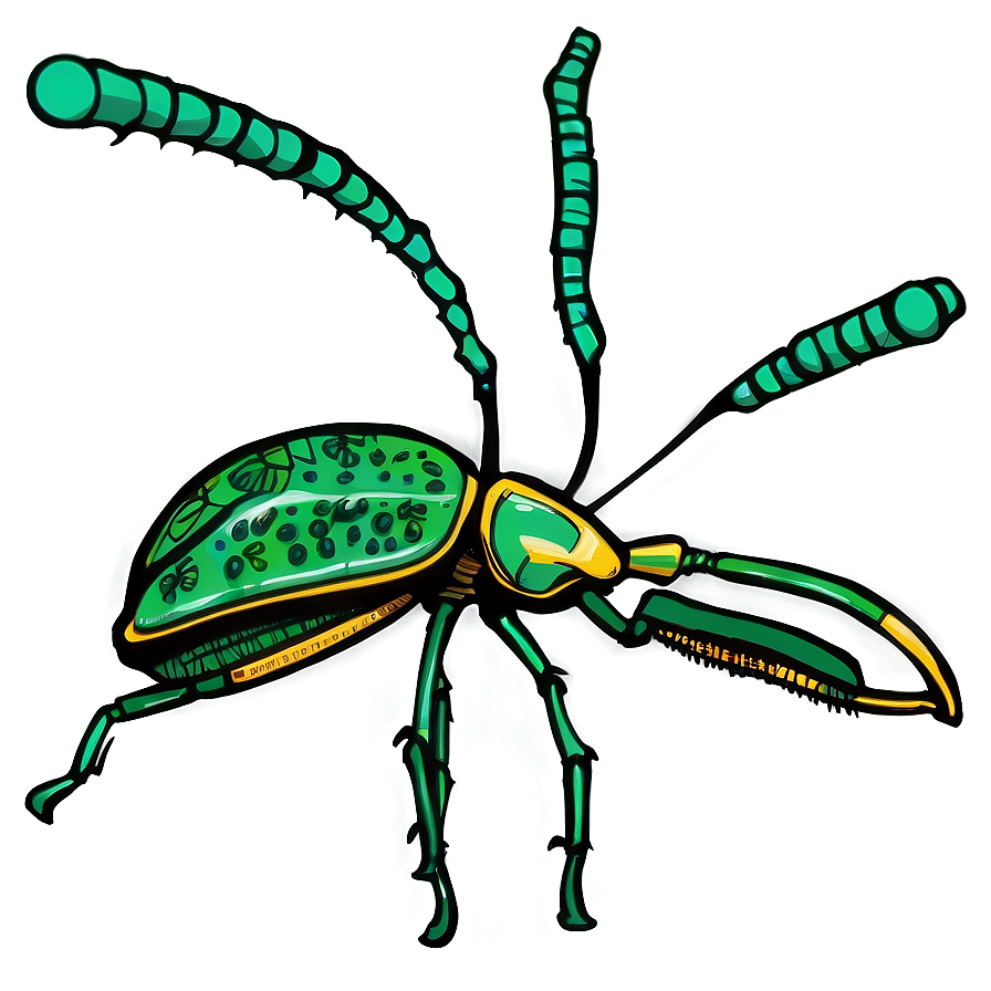 Stylized Weevil Drawing Png Duc