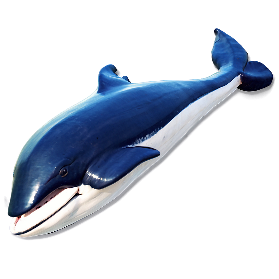 Stylized Whale Png Kno96