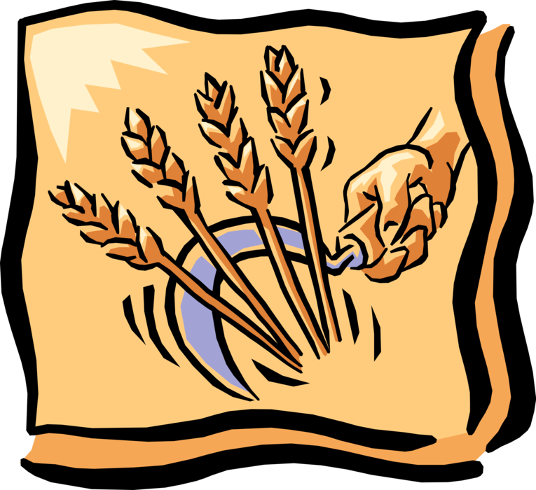 Stylized Wheat Sheaf Vector