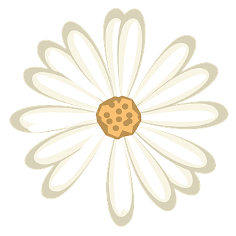 Stylized White Daisy Graphic