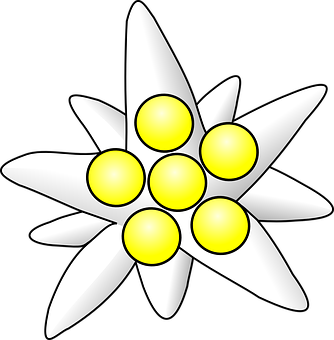 Stylized White Flower Graphic PNG with transparent background