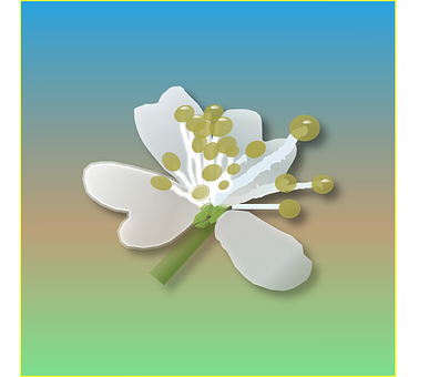 Stylized White Flower Illustration