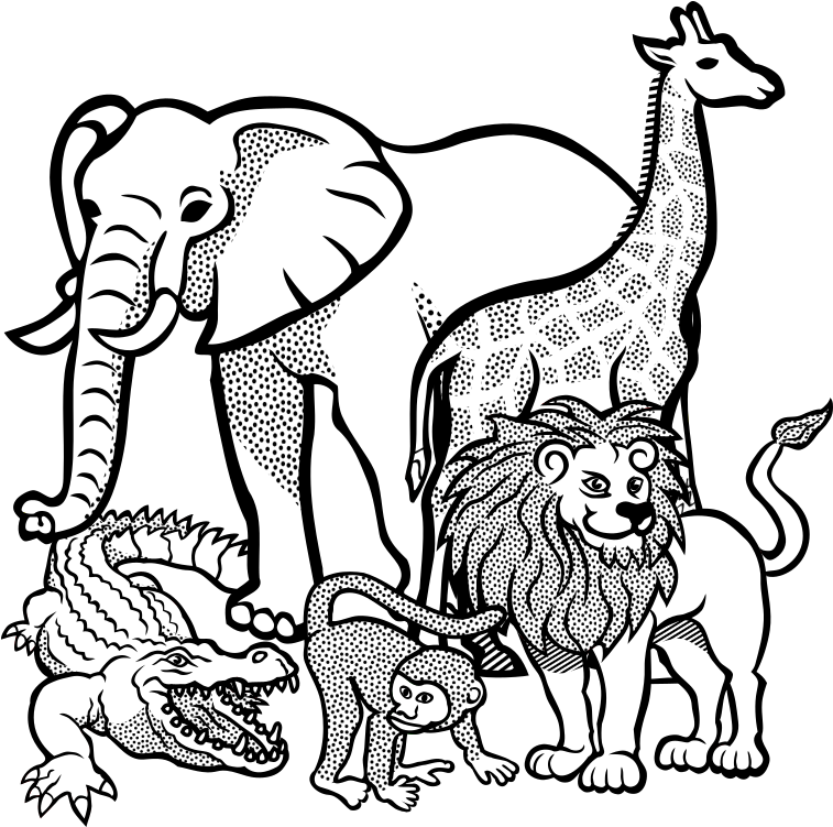 Jpg Black And White Download Africa Clipart Animal - Africa Safari Animals Coloring Sheets PNG with transparent background