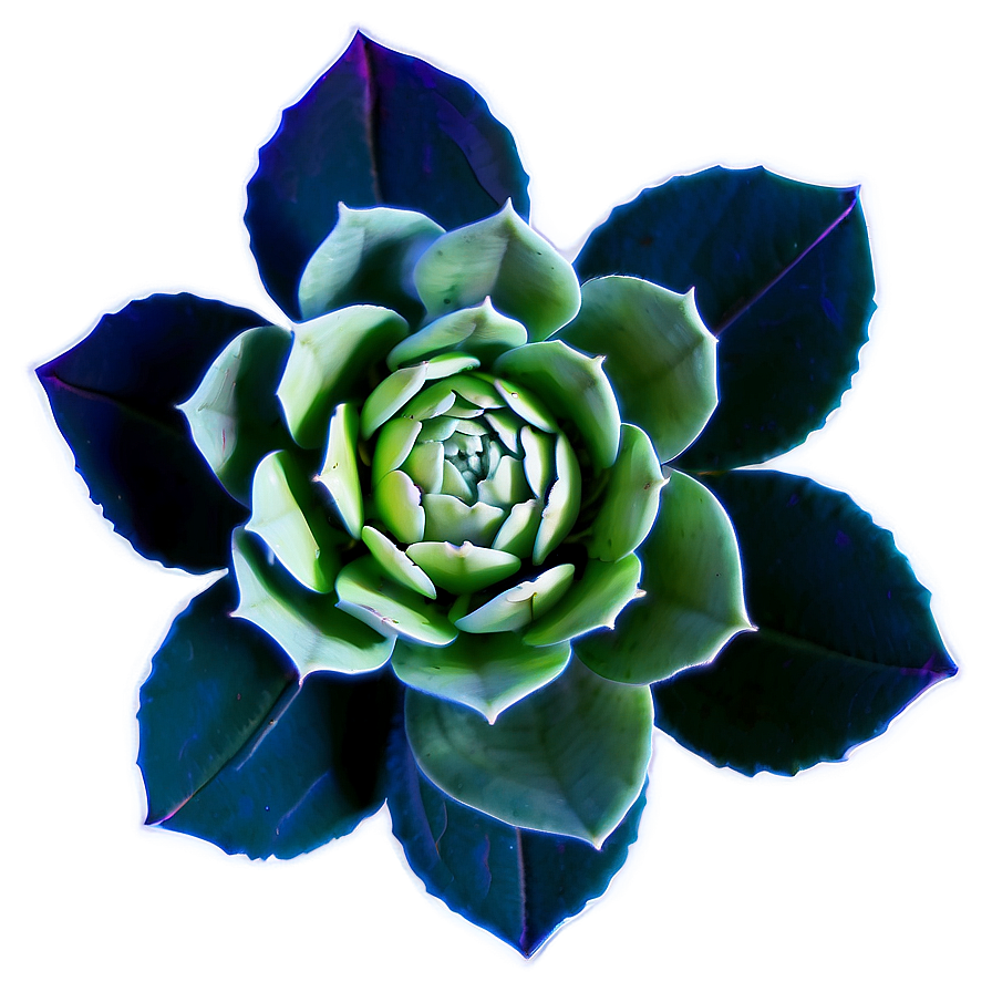 Succulent Flower Cricut Design Png 06282024