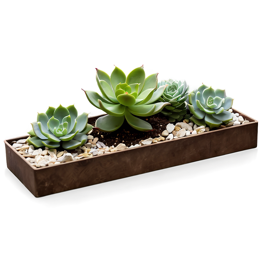 Succulent Garden Png Req78