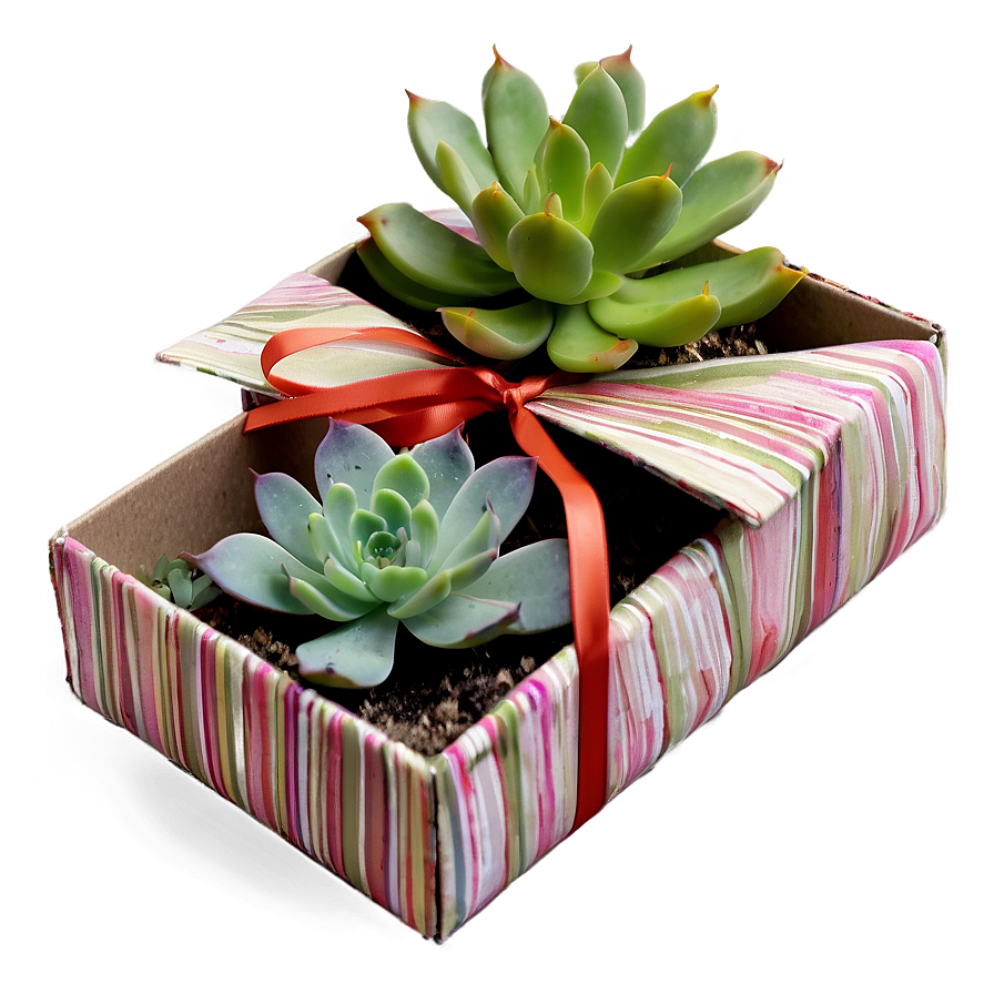 Succulent Gift Box Ideas Png 06212024