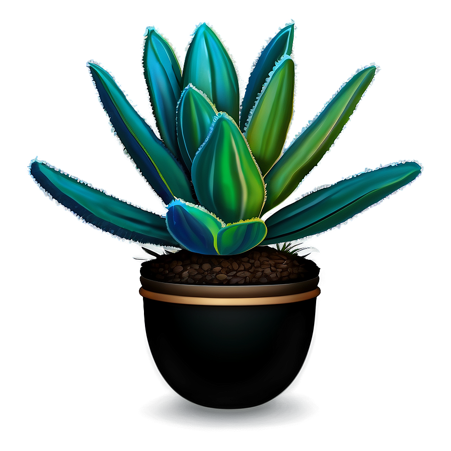 Succulent Plant Png 05032024