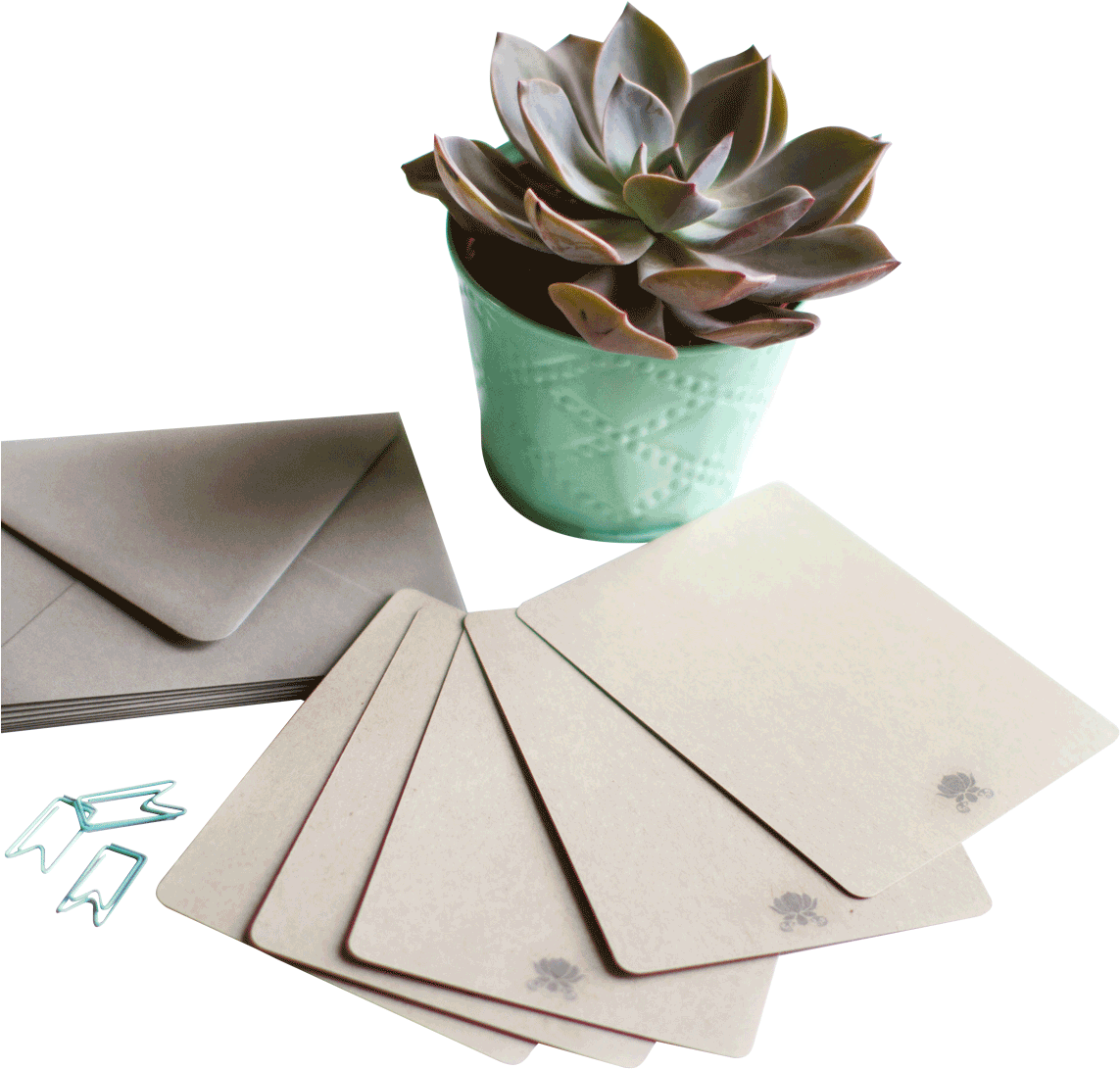 Succulentand Stationery Setup