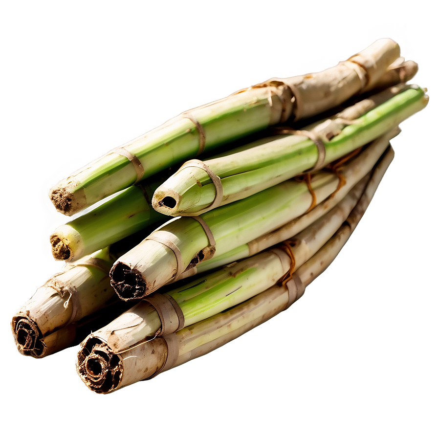 Sugarcane Bagasse Product Png 69