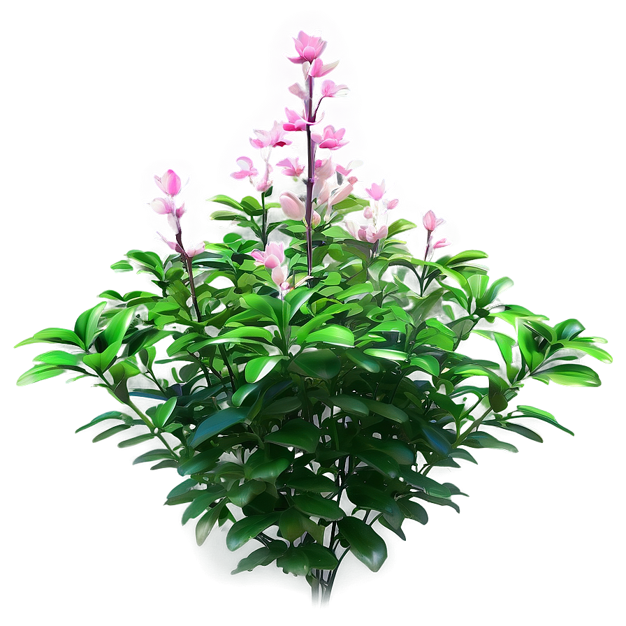 Summer Bloom Bush Png Vev77