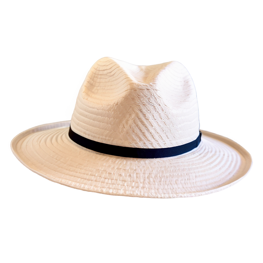 Summer Fedora Hat Png 06262024