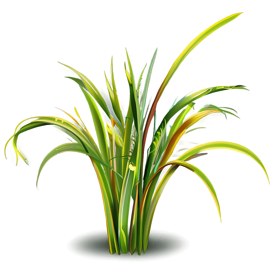 Summer Grass Clipart Png Ecr