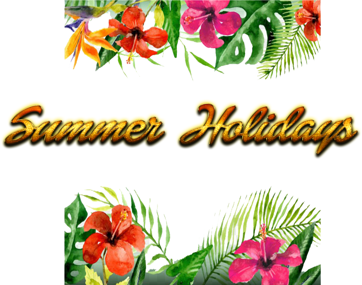 Summer Holidays Tropical Flowers