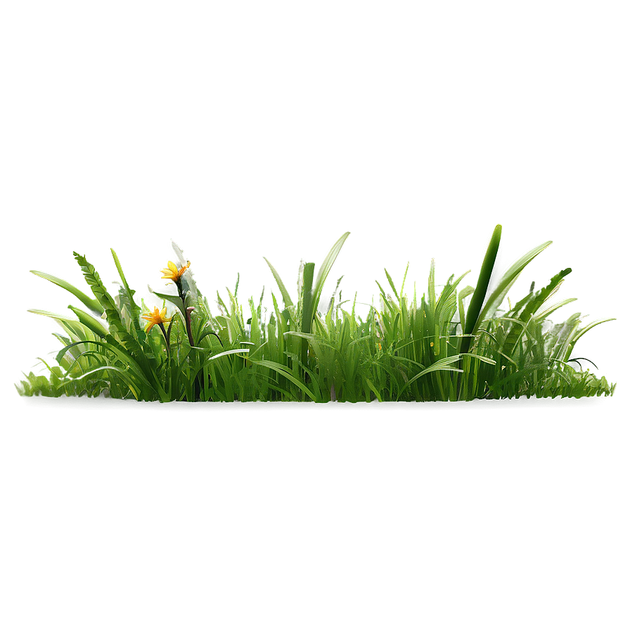 Summer Meadow Grass Png Mfg87