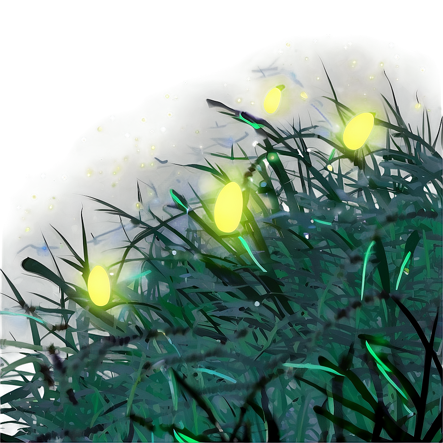 Summer Night Fireflies Png Hbi