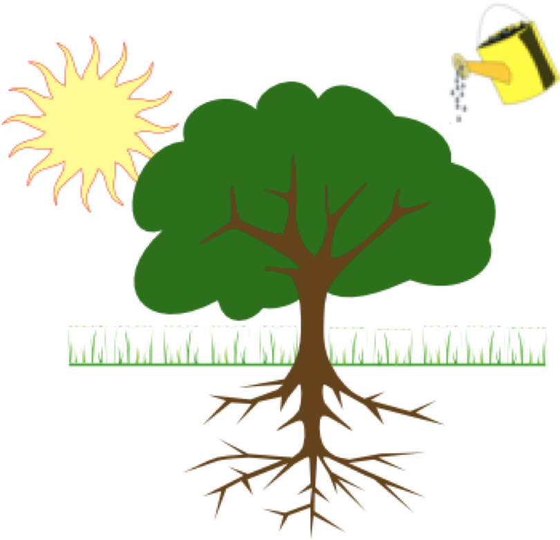 Sun Tree Watering Can Illustration PNG with transparent background