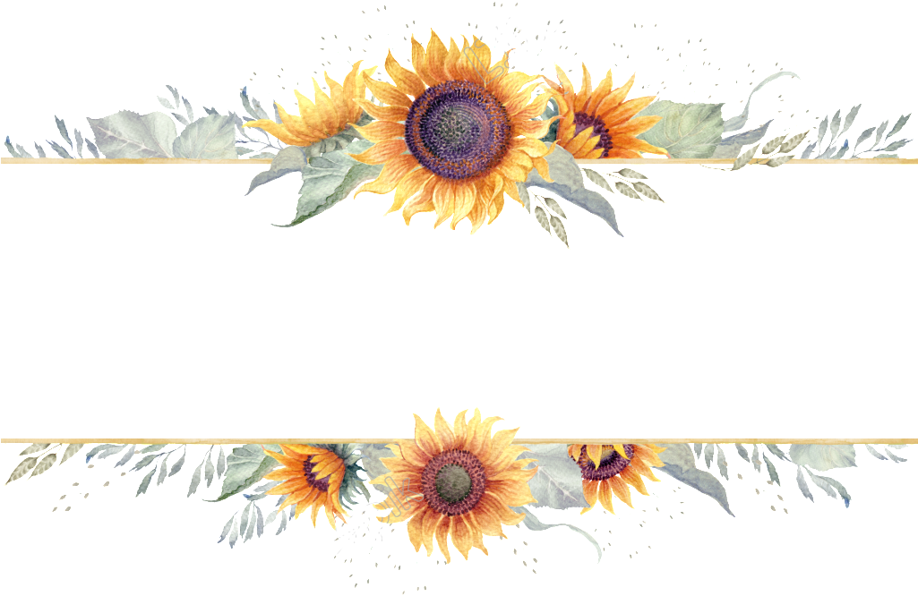 Sunflower Border Png - Transparent Background Sunflower Border, Png Download PNG image with a transparent background, free high-resolution download