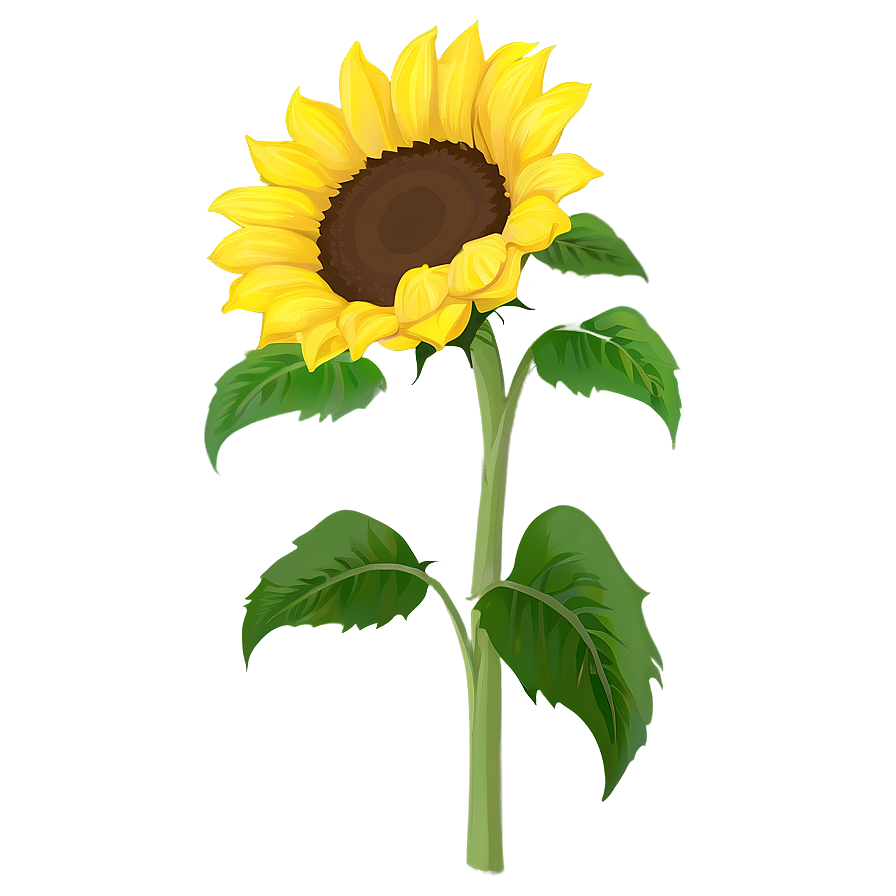 Sunflower Clipart PNG not1 PNG image with a transparent background, free high-resolution download