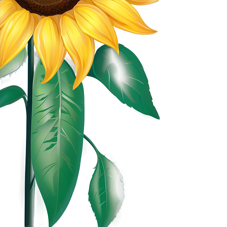 Sunflower Design Transparent PNG pqs PNG image with a transparent background, free high-resolution download