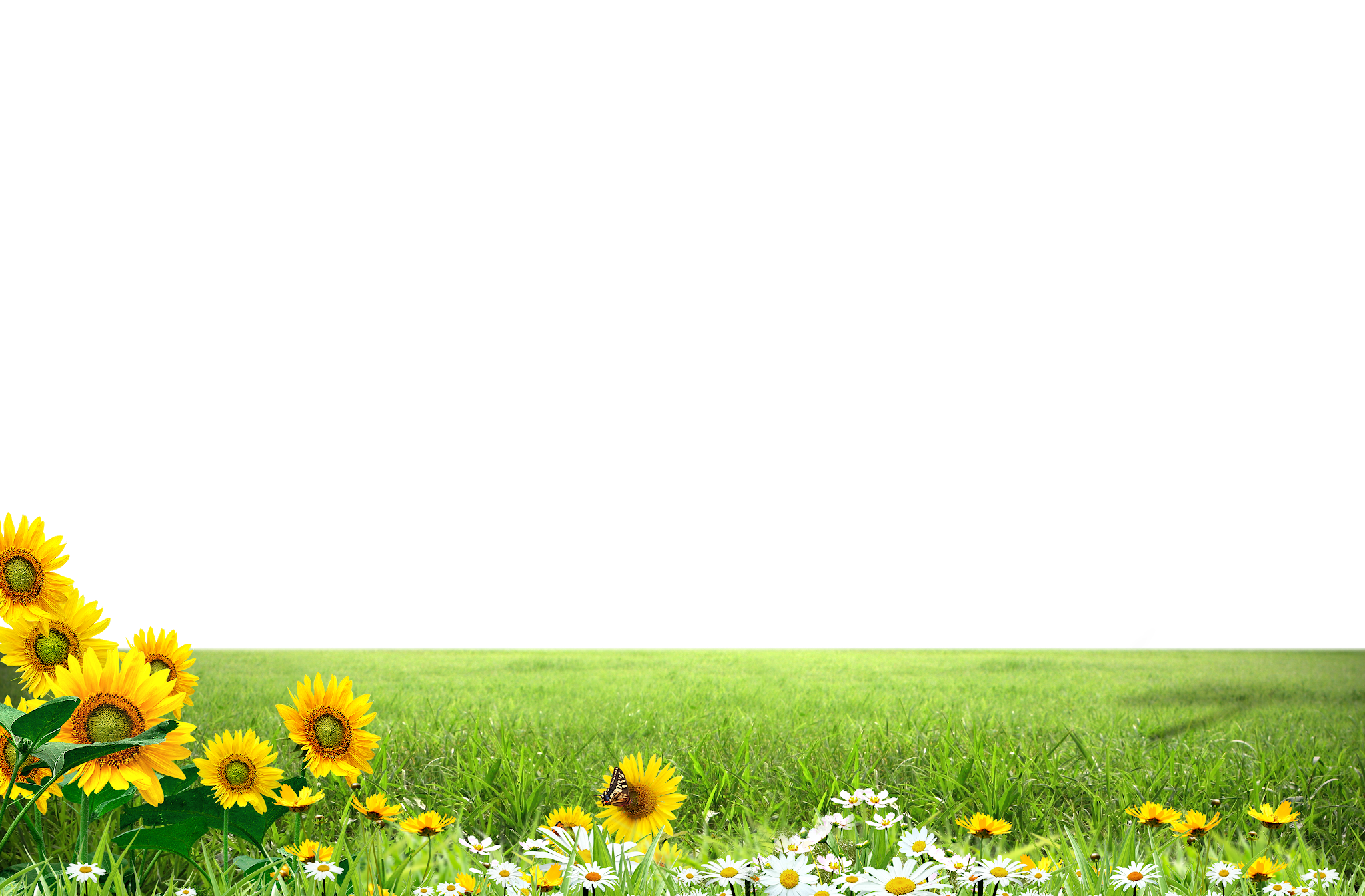 Meadow Greenscape PNG Transparent Image PNG with transparent background