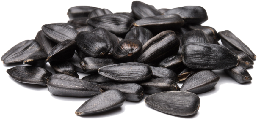 Sunflower Seeds Png - Sunflower Seed Png, Transparent Png PNG image with a transparent background, free high-resolution download