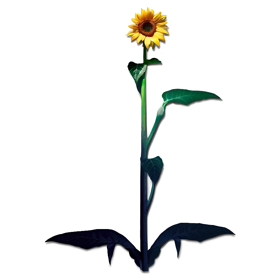 Sunflower Transparent Sign Png Skd64