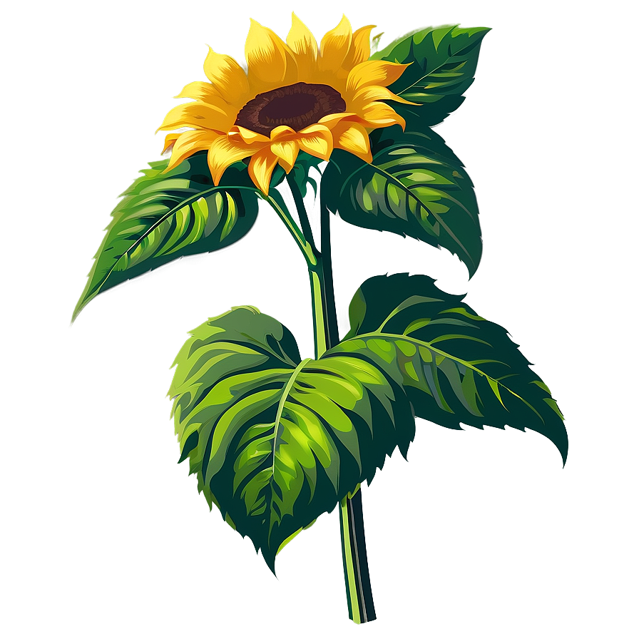 Sunflower Vector Transparent PNG nbv69 PNG image with a transparent background, free high-resolution download