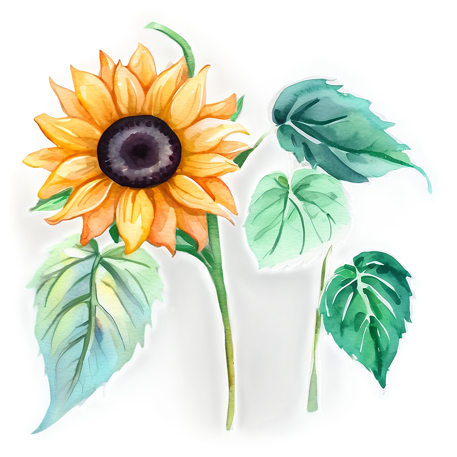 Sunflower Watercolor Bookmark Design Png 99