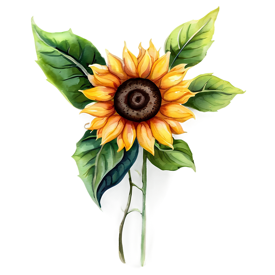 Sunflower Watercolor Decorative Element Png Oud