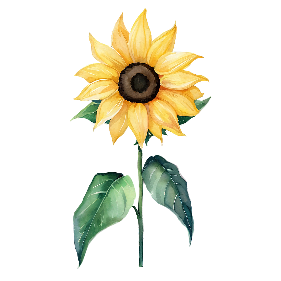 Sunflower Watercolor Fabric Pattern Png 94