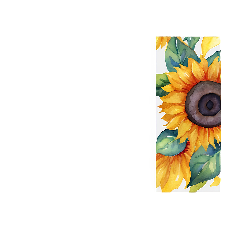 Sunflower Watercolor Greeting Card Design Png 06272024